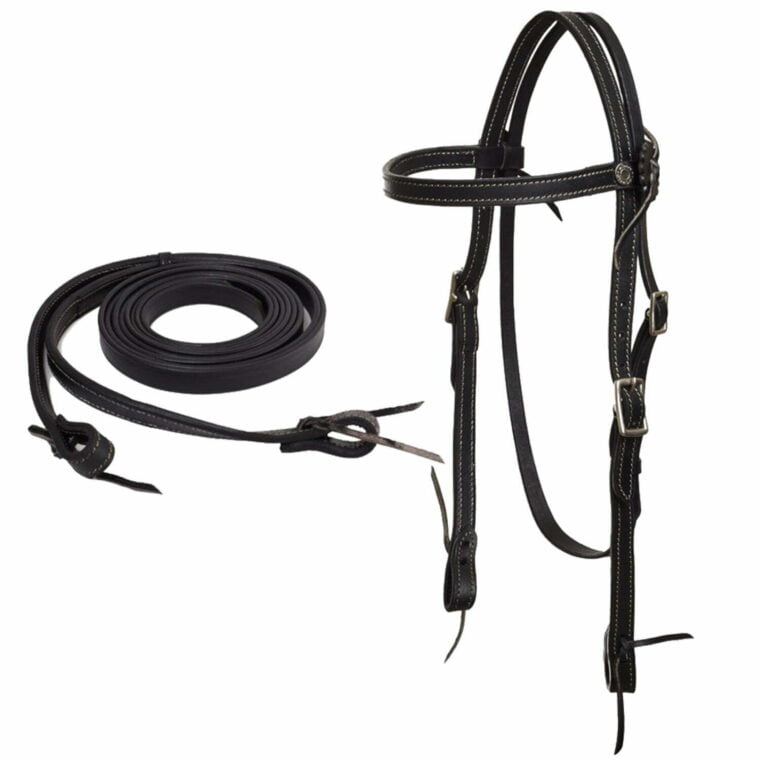 MOMPSO Pleasure Riding Halter with reins
