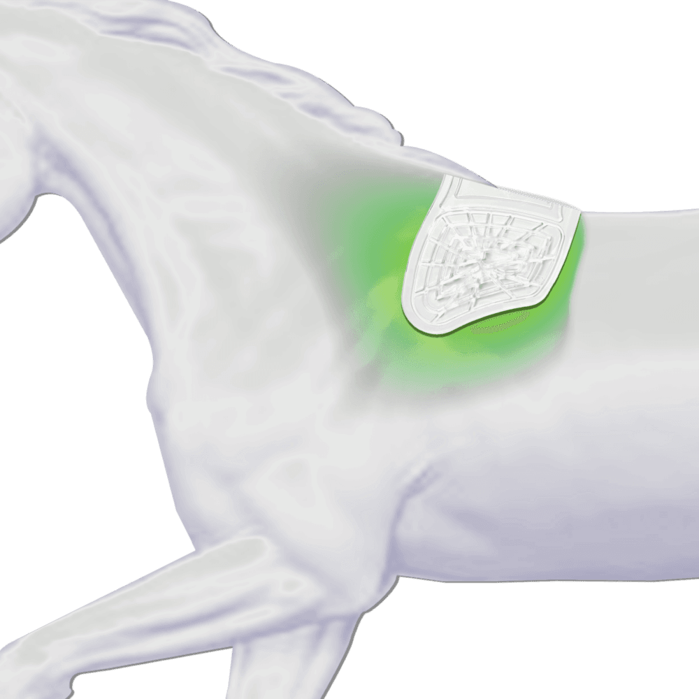 MOMPSO SPORT Front Riser Gel pad