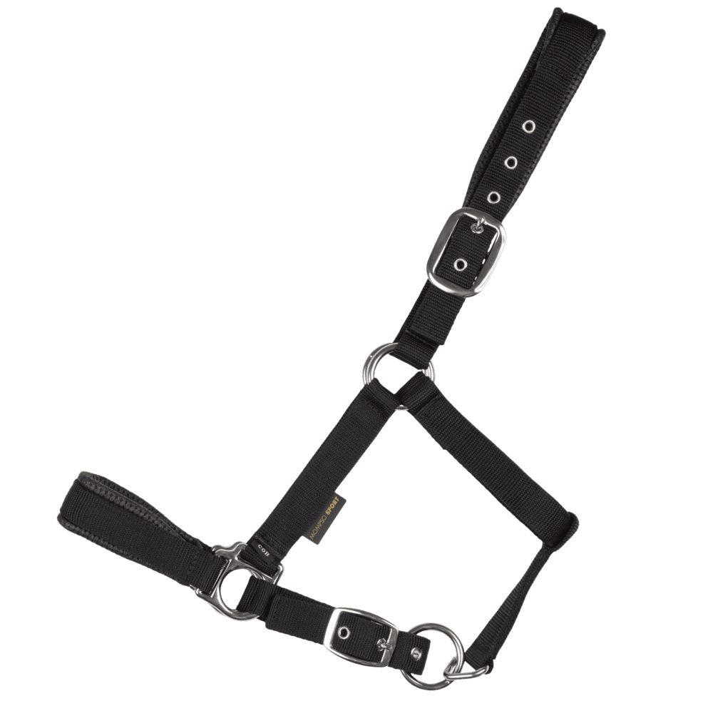 MOMPSO SPORT Vinyl Καπίστρι + Οδηγός