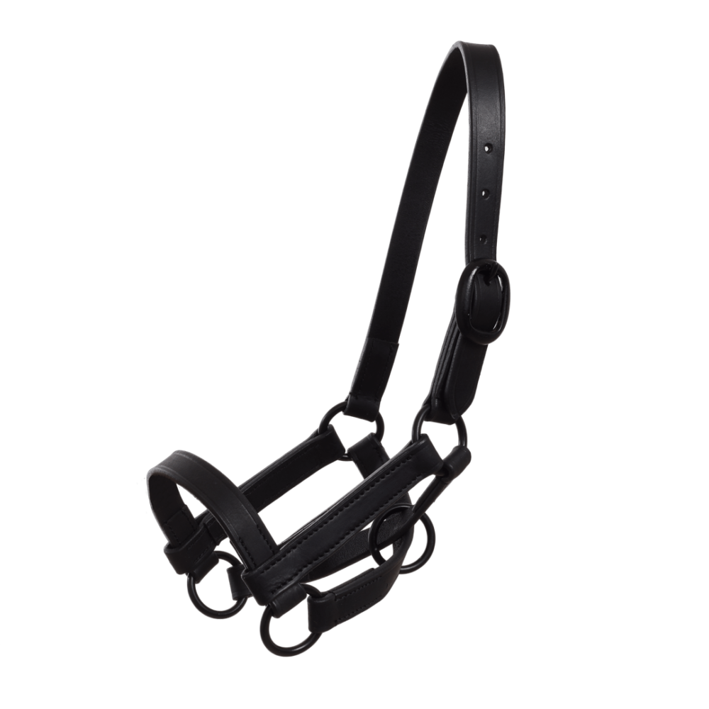 MOMPSO Δερμάτινο Καπίστρι Πουλαριού