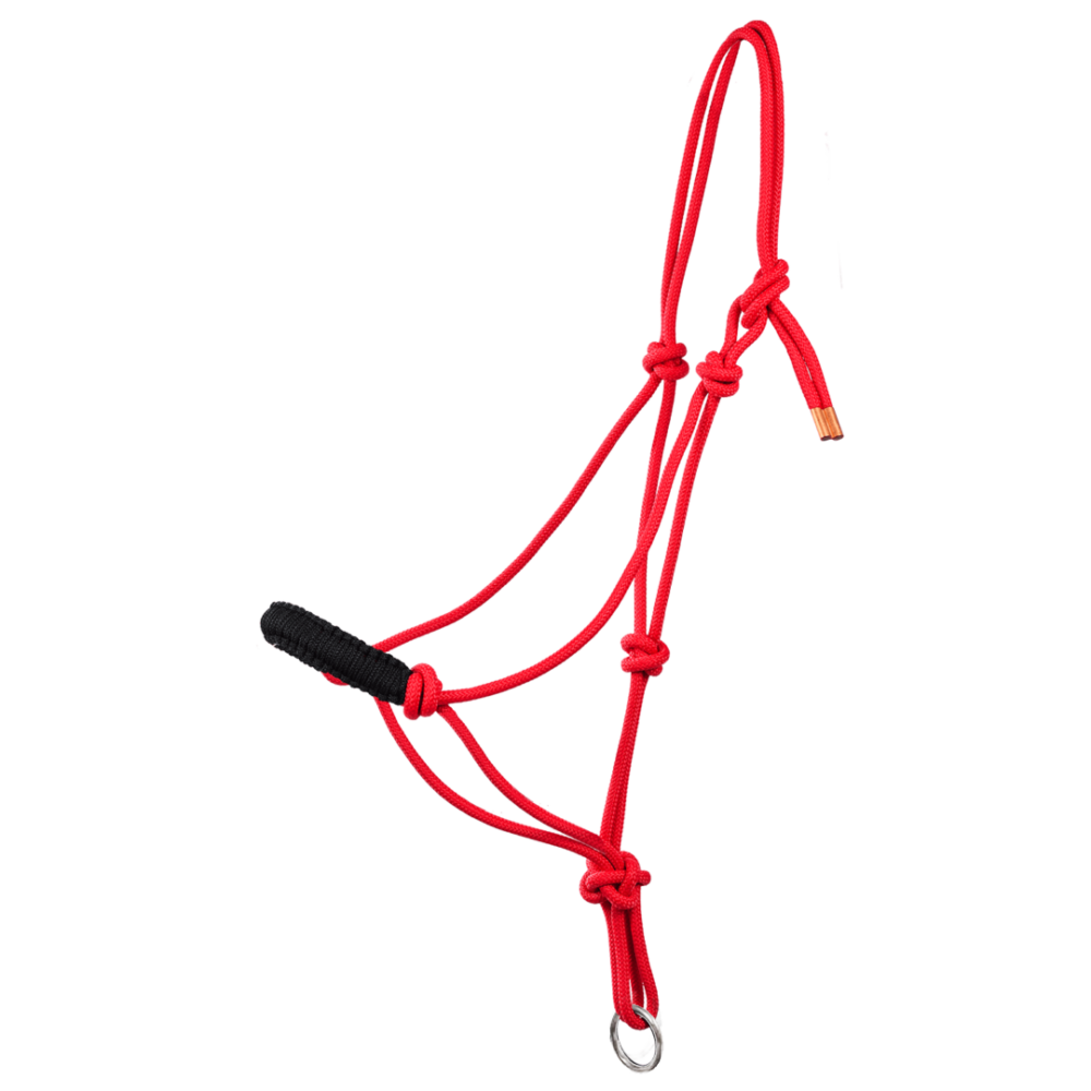 MOMPSO Basic Σχοίνινο Καπίστρι