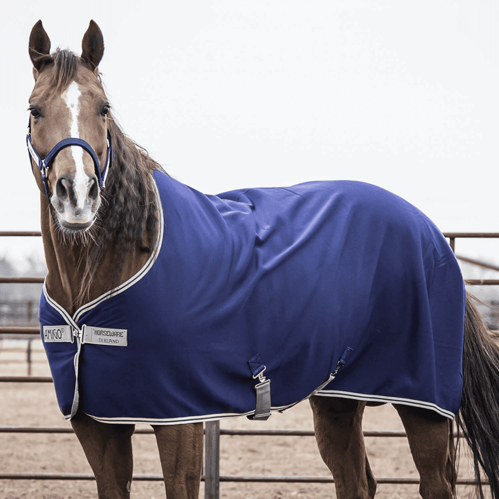 HORSEWARE Amigo®Αντιιδρωτικό κάλυμμα + Κουβέρτα Στάβλου