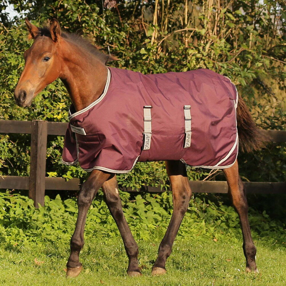 HORSEWARE Κουβέρτα πουλαριού Amigo®Ripstop 200g