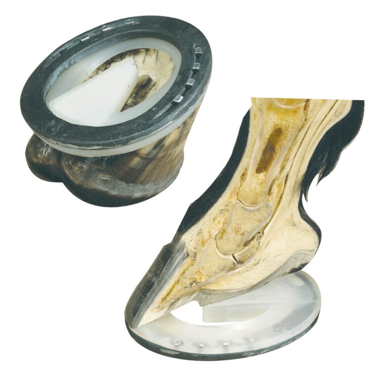 Ορθοπεδικά pads Mustad Myron McLane (x2)