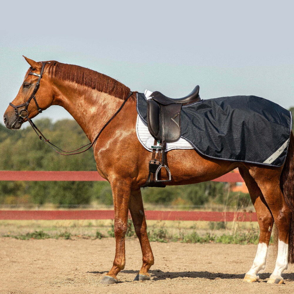 HORSEWARE Amigo Waterproof Ripstop Rug