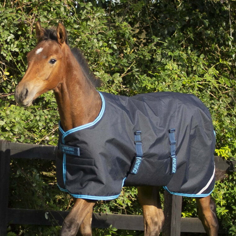 HORSEWARE Κουβέρτα πουλαριού Amigo®Ripstop 200g