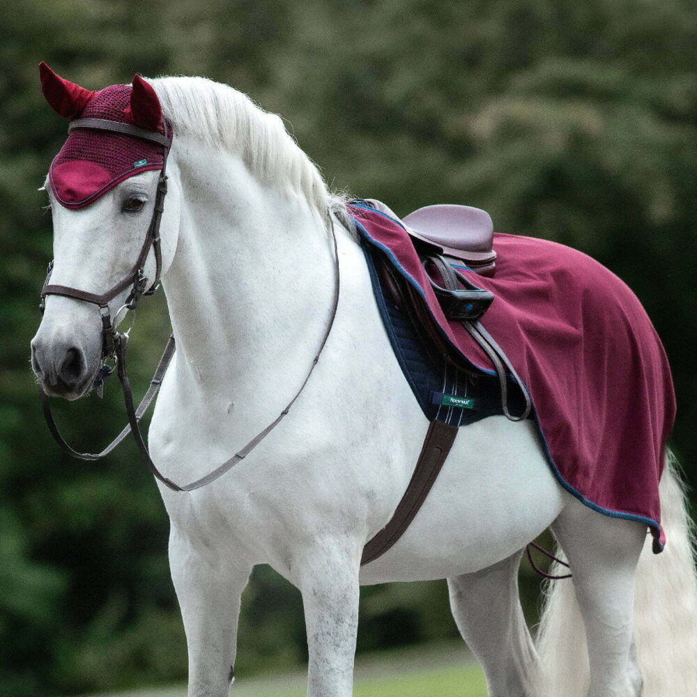 HORSEWARE Rambo® Waterproof Exercise Rug
