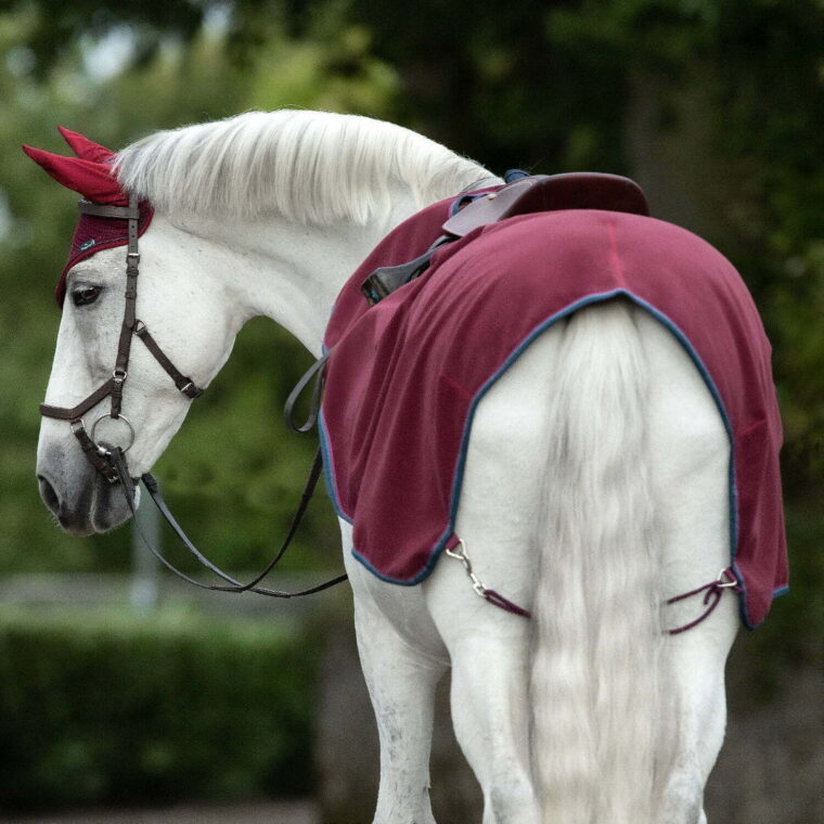 HORSEWARE Rambo® Waterproof Exercise Rug