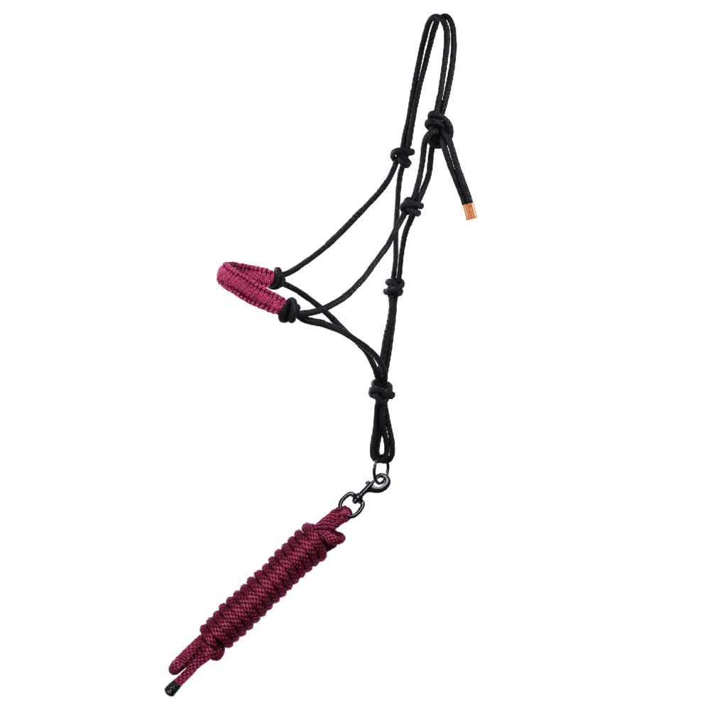 MOMPSO Basic Σχοίνινο Καπίστρι + Οδηγός 4M