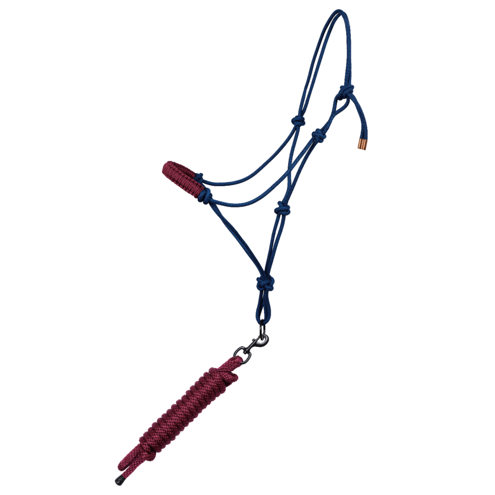 MOMPSO Basic Σχοίνινο Καπίστρι + Οδηγός 2M