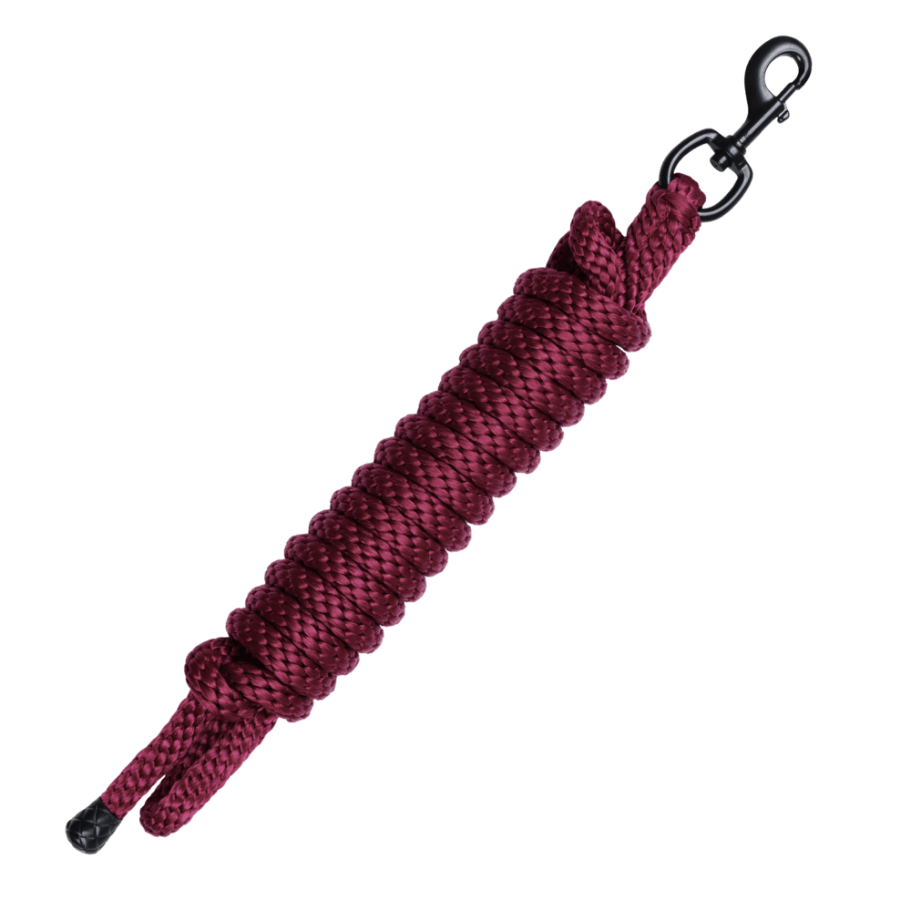 MOMPSO Basic Σχοίνινο Καπίστρι + Οδηγός 2M