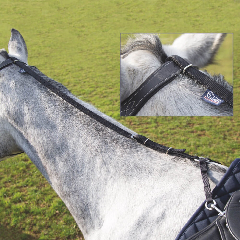 SHIRES Daisy Rein Εκπαιδευτικός Ιμάντας Σταθεροποίησης Κεφαλής