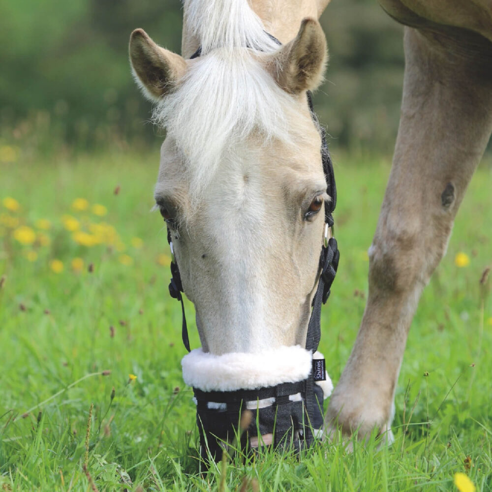 SHIRES Σύστημα Ελεγχόμενης Σίτισης Κεφαλής