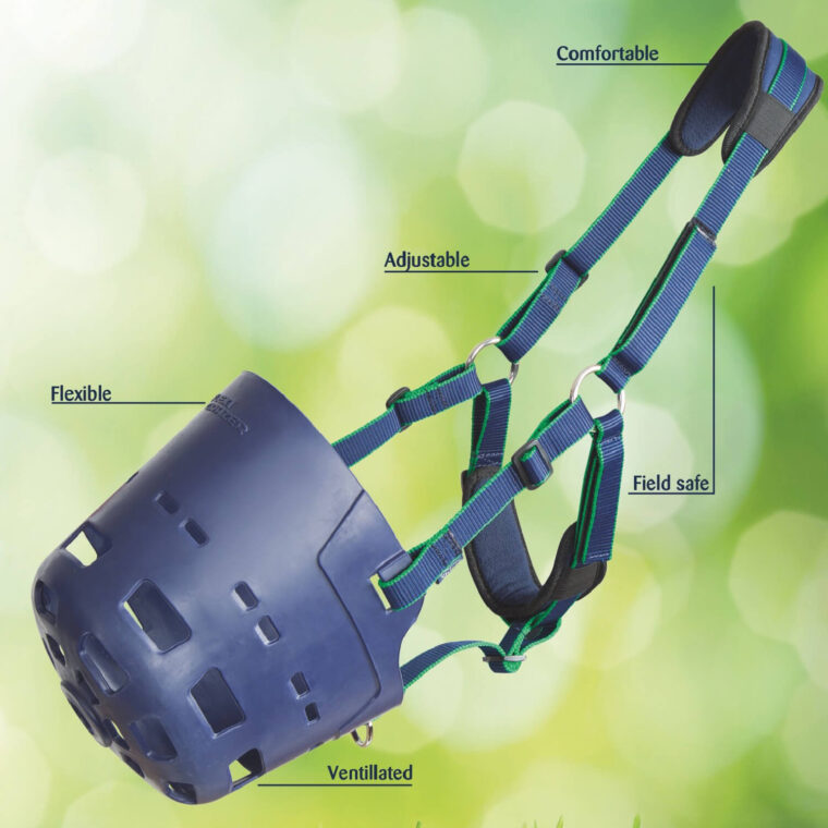 Σύστημα Ελεγχόμενης Σίτισης Κεφαλής SHIRES