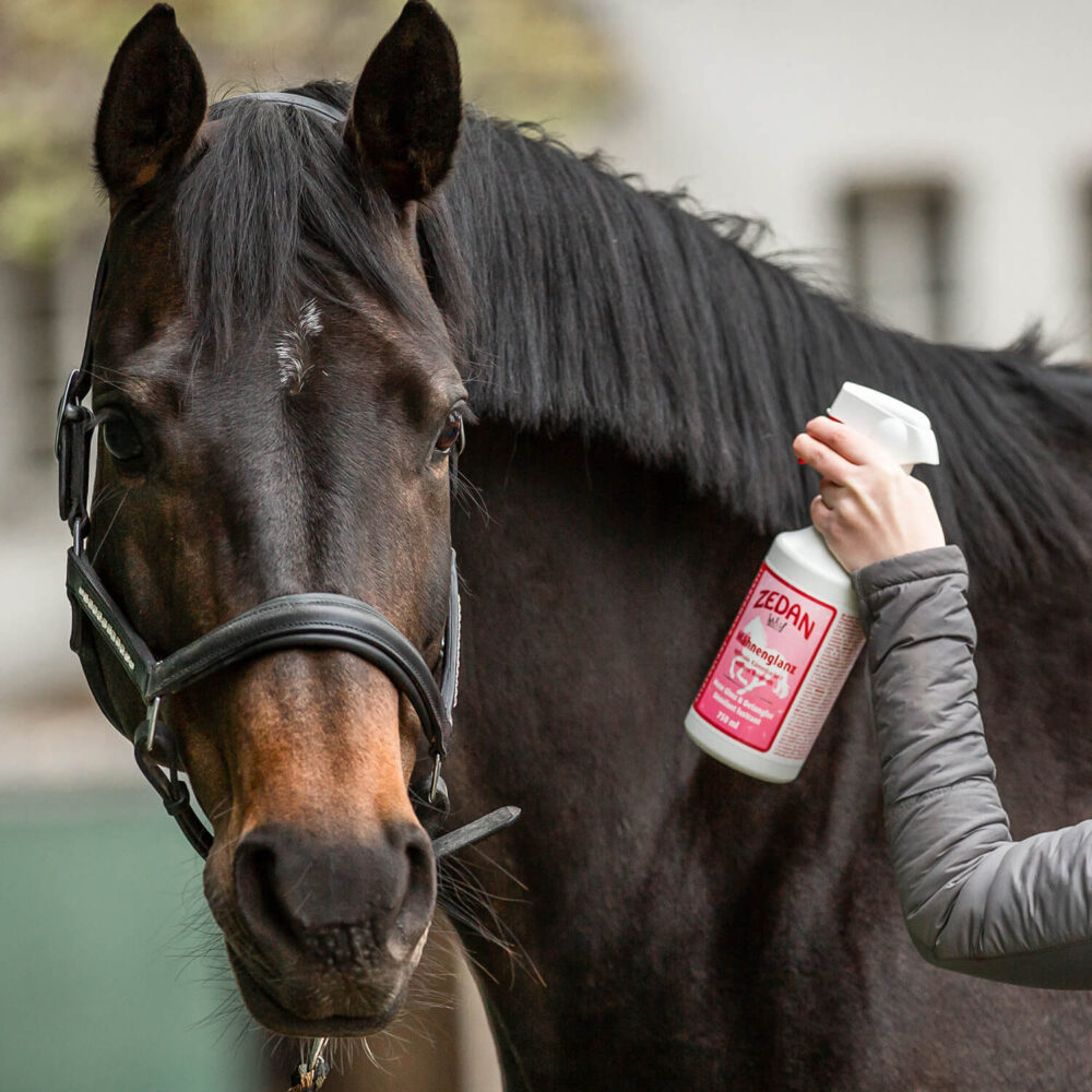 ZEDAN Spray Λάμψης & Χτενίσματος 2in1