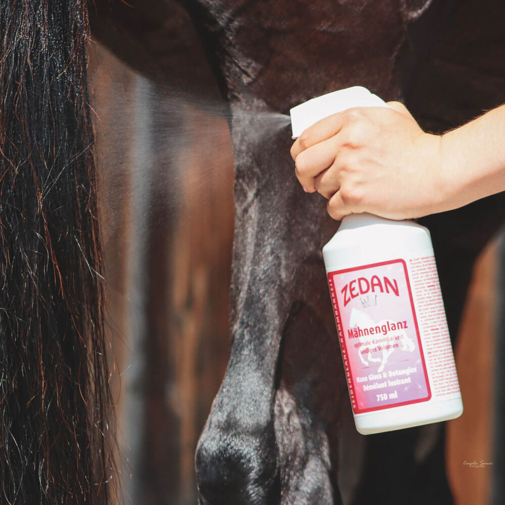 ZEDAN Spray Λάμψης & Χτενίσματος 2in1