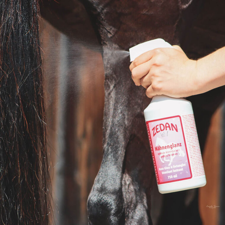 ZEDAN Spray Λάμψης & Χτενίσματος 2in1