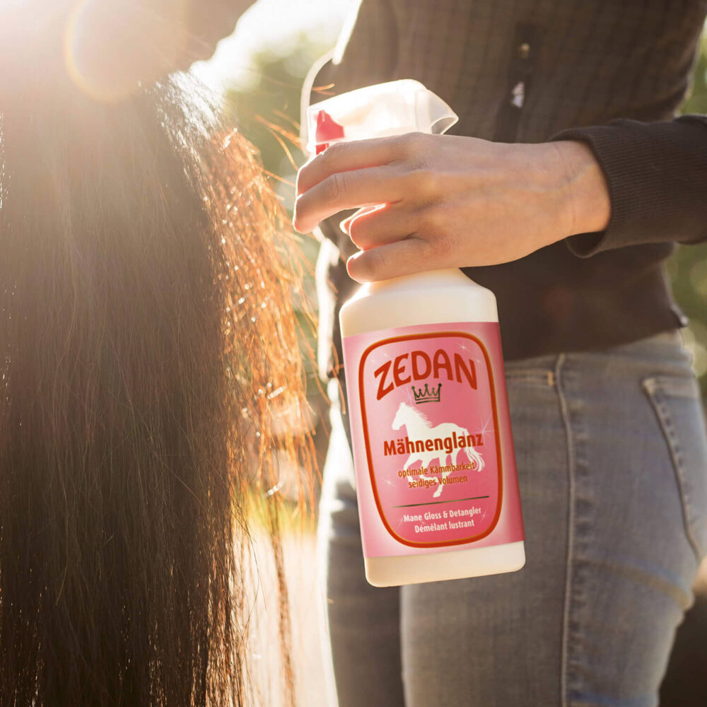 ZEDAN Spray Λάμψης & Χτενίσματος 2in1