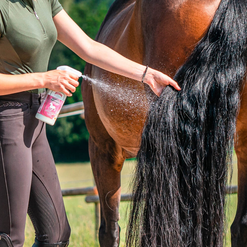 ZEDAN Φυσική Λοσιόν Περιποίησης & Αύξησης Όγκου Χαίτης – Ουράς