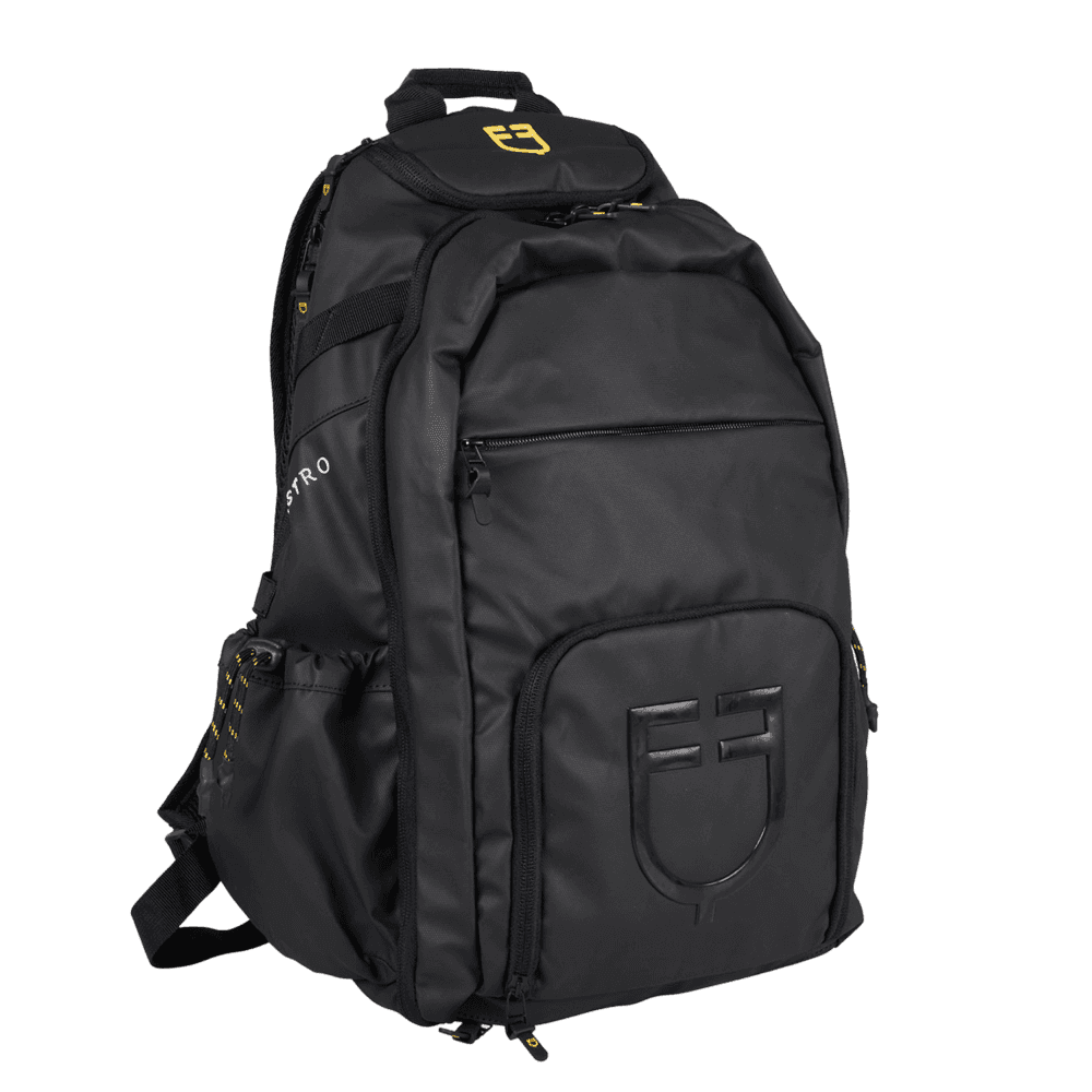 EQUESTRO All-day Backpack