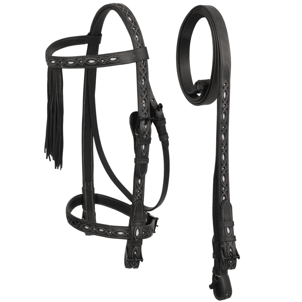MOMPSO Spanish Bridle