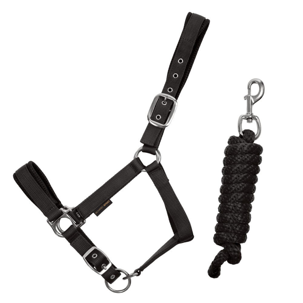 MOMPSO SPORT Vinyl Καπίστρι + Οδηγός