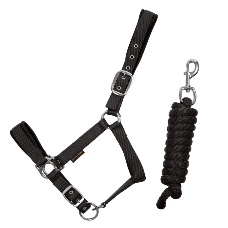 MOMPSO SPORT Vinyl Καπίστρι + Οδηγός