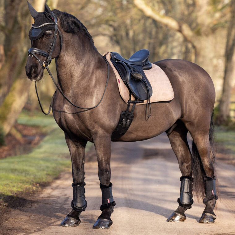 LEMIEUX Dressage Workpad