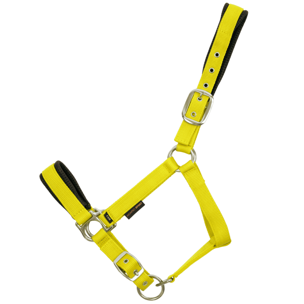 MOMPSO SIGNATURE Vinyl Καπίστρι + Οδηγός