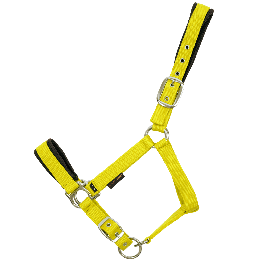 MOMPSO SIGNATURE Vinyl Καπίστρι + Οδηγός MOMPSO SIGNATURE Vinyl Καπίστρι + Οδηγός