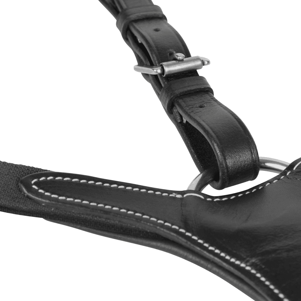 SHIRES Avignon Επιστήθιο με Αποσπώμενο Martingale