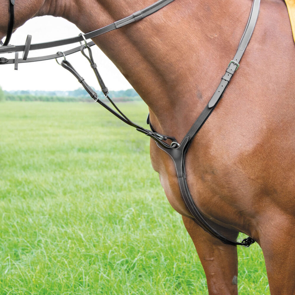 SHIRES Avignon Επιστήθιο με Αποσπώμενο Martingale