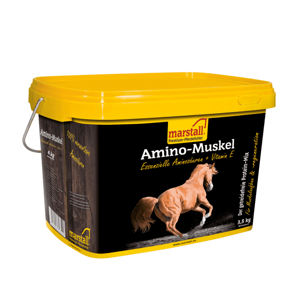 MARSTALL Amino-Muskel Ανάπτυξη Μυϊκού Συστήματος 3,5kg