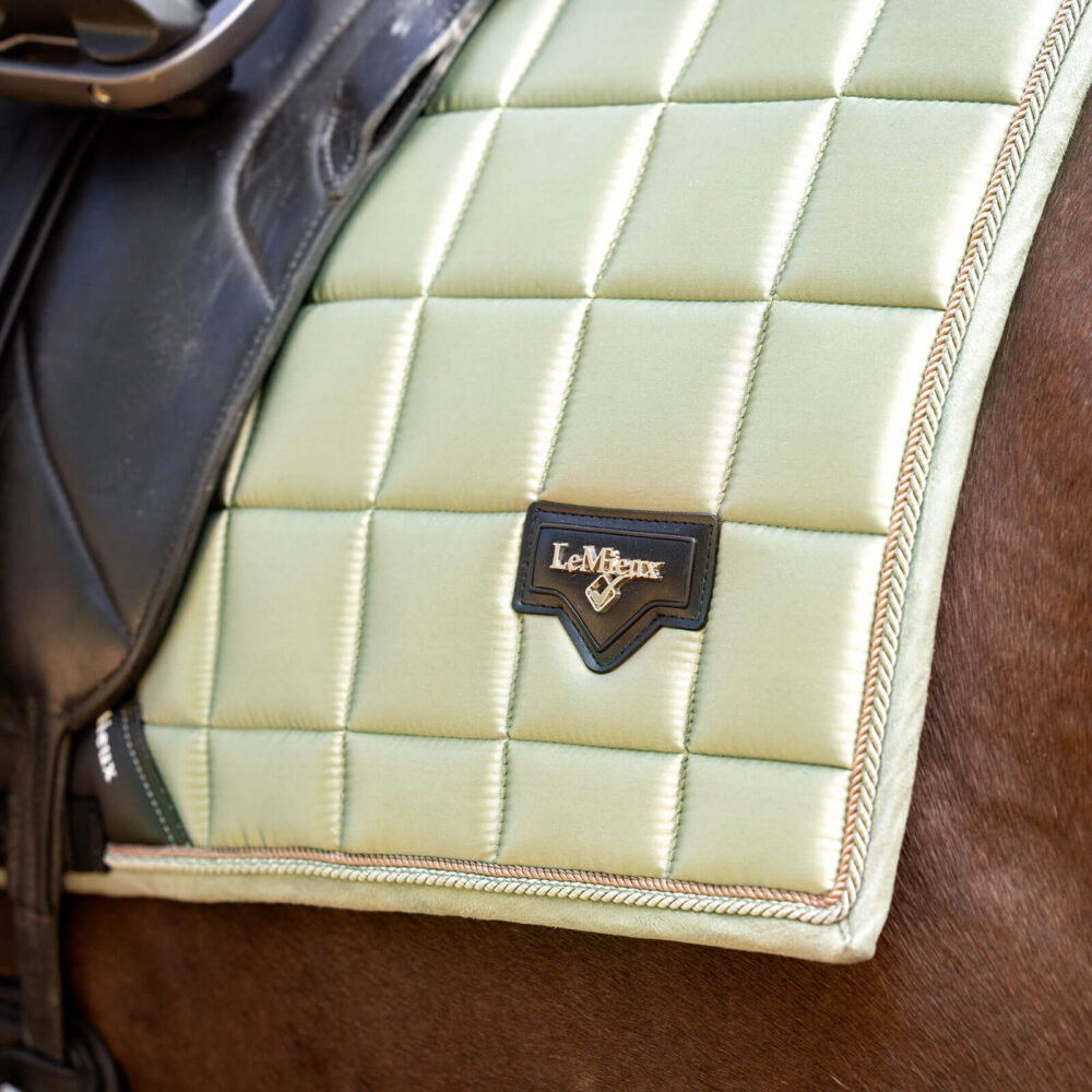 LeMieux Loire Dressage Υπόσαγμα