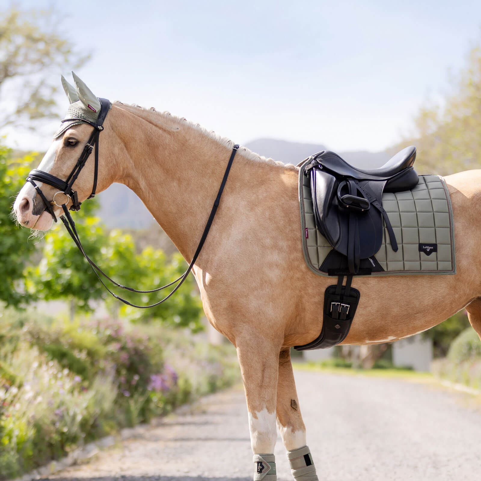 LeMieux Loire Dressage Υπόσαγμα LeMieux Loire Dressage Υπόσαγμα