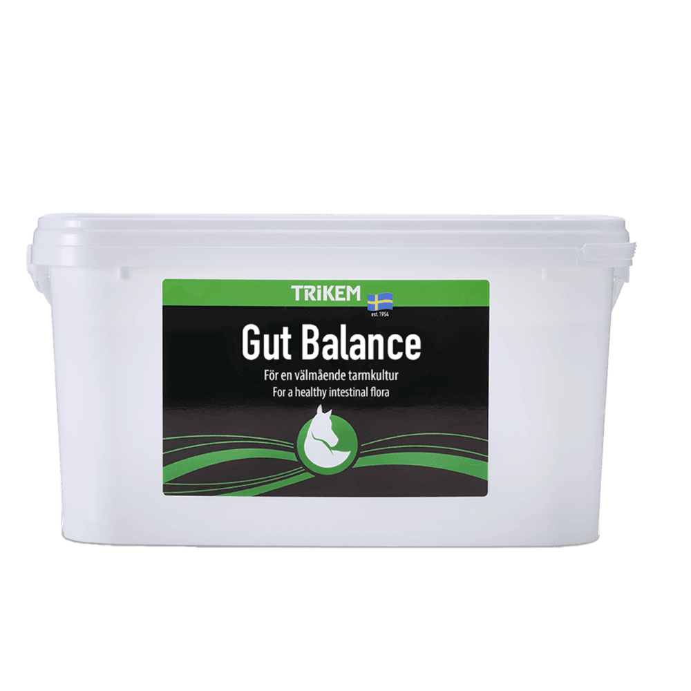 TRIKEM Gut Balance Σκεύασμα Προβιοτικών 3kg