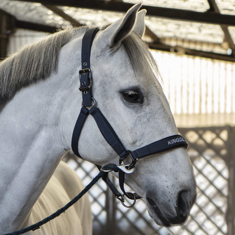 KINGSLAND Helen Καπίστρι + Οδηγός