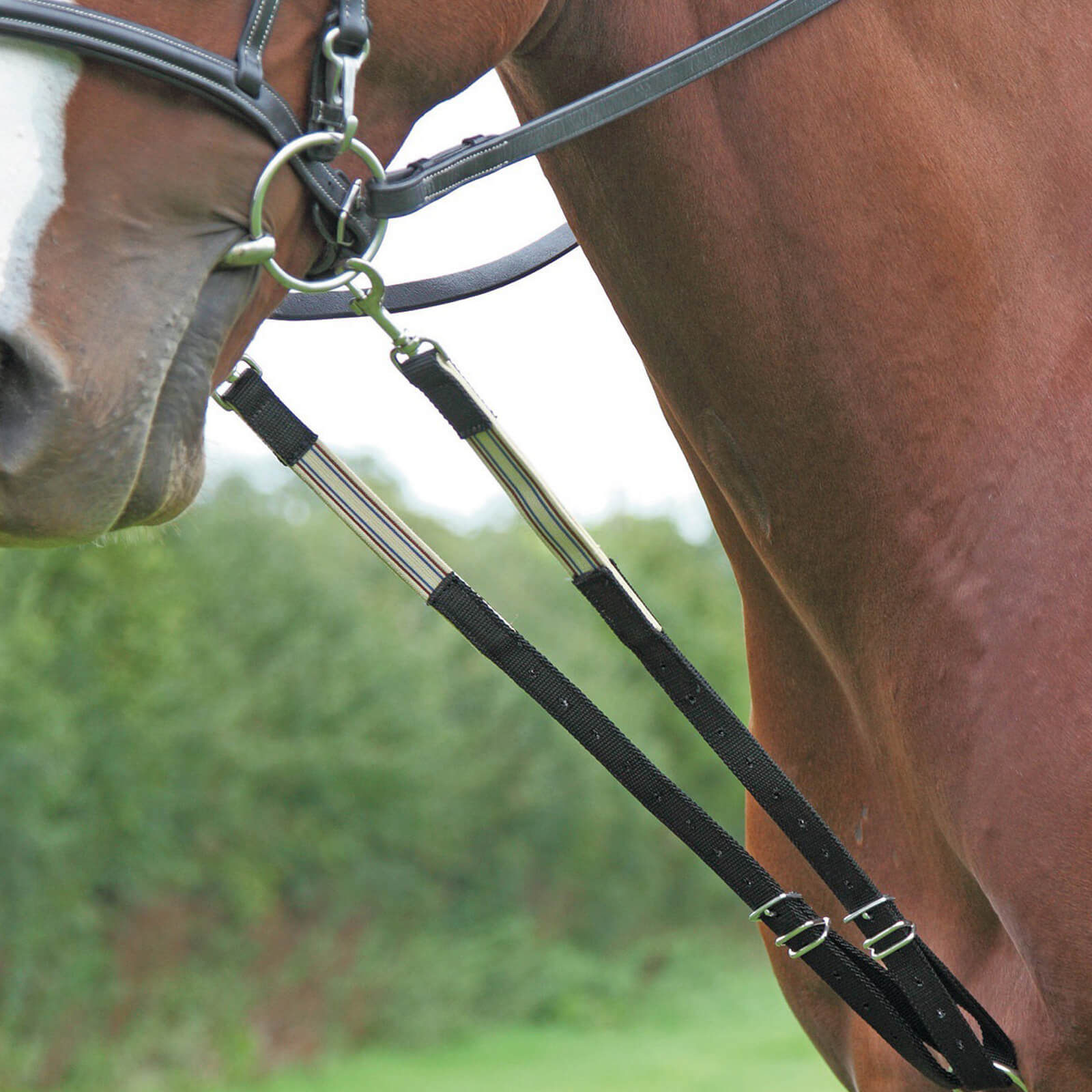 SHIRES Harbridge Εκπαιδευτικός Ιμάντας Κεφαλής SHIRES Harbridge Εκπαιδευτικός Ιμάντας Κεφαλής