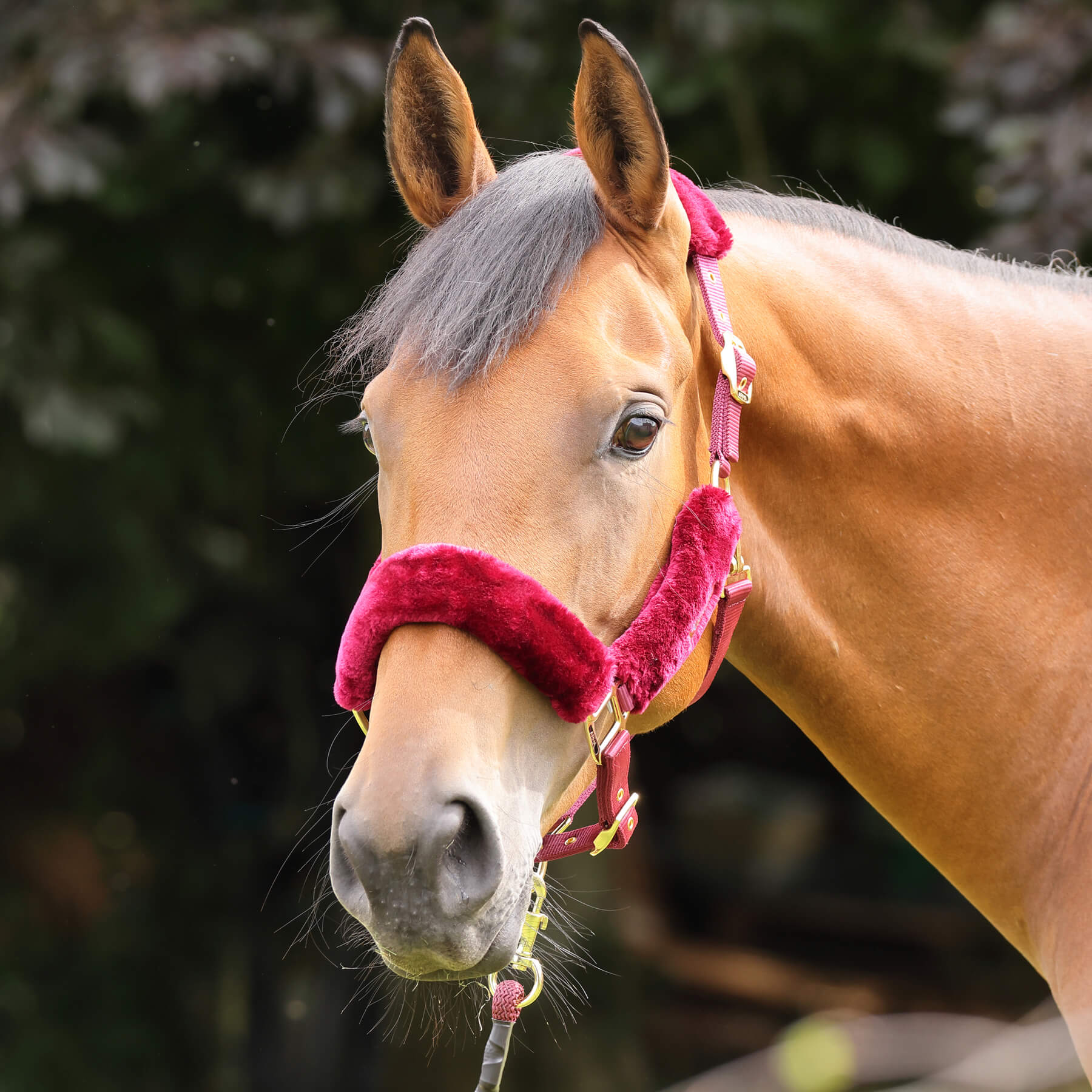 ARMA Faux Fur Καπίστρι + Oδηγός ARMA Faux Fur Καπίστρι + Oδηγός