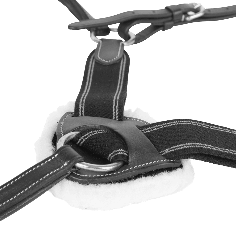 SHIRES Salisbury Επιστήθιο/Μartingale 5 Σημείων