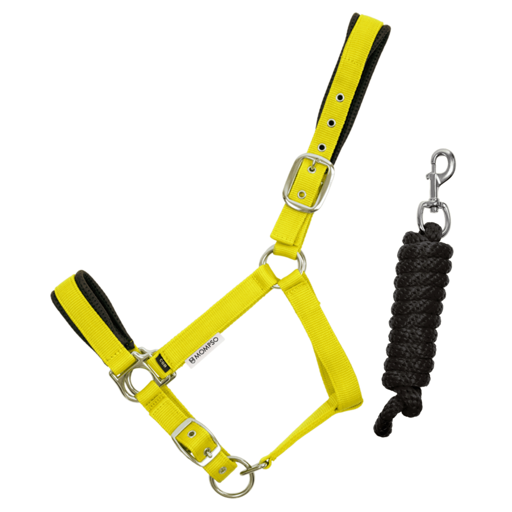 MOMPSO SIGNATURE Vinyl Καπίστρι + Οδηγός