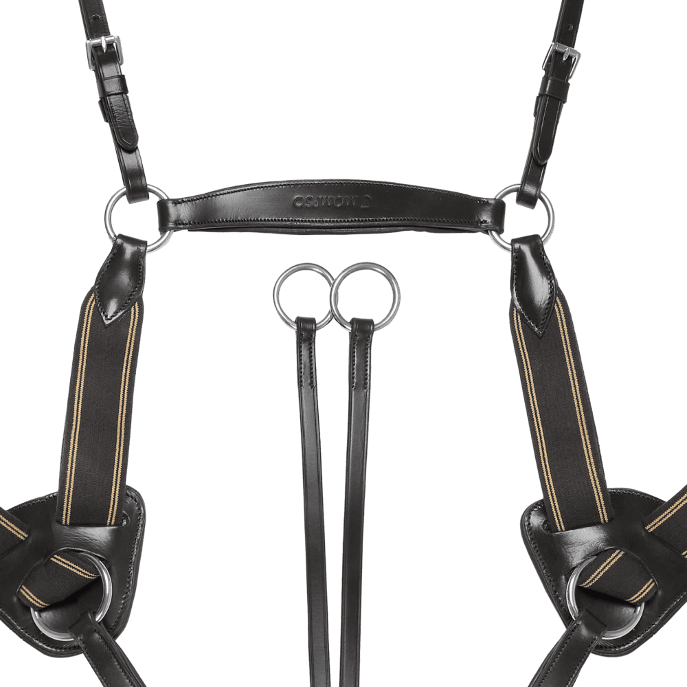 MOMPSO Signature Pro 5point Breastplate