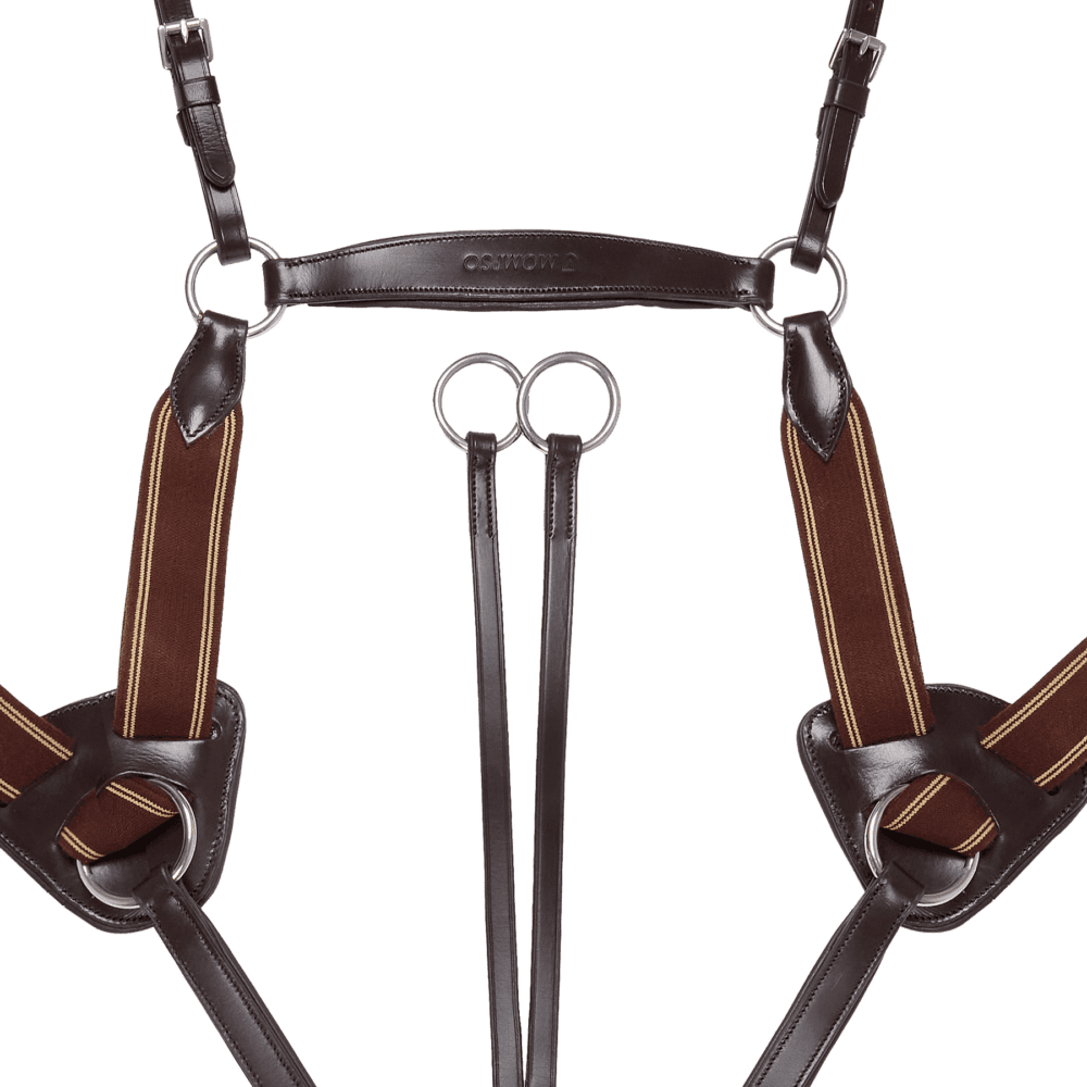 MOMPSO Signature Pro 5point Breastplate