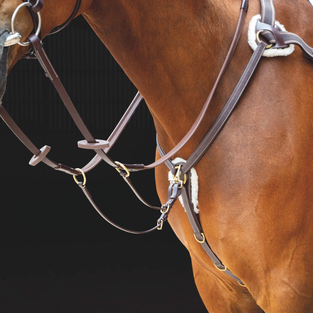 SHIRES Salisbury Επιστήθιο/Μartingale 5 Σημείων