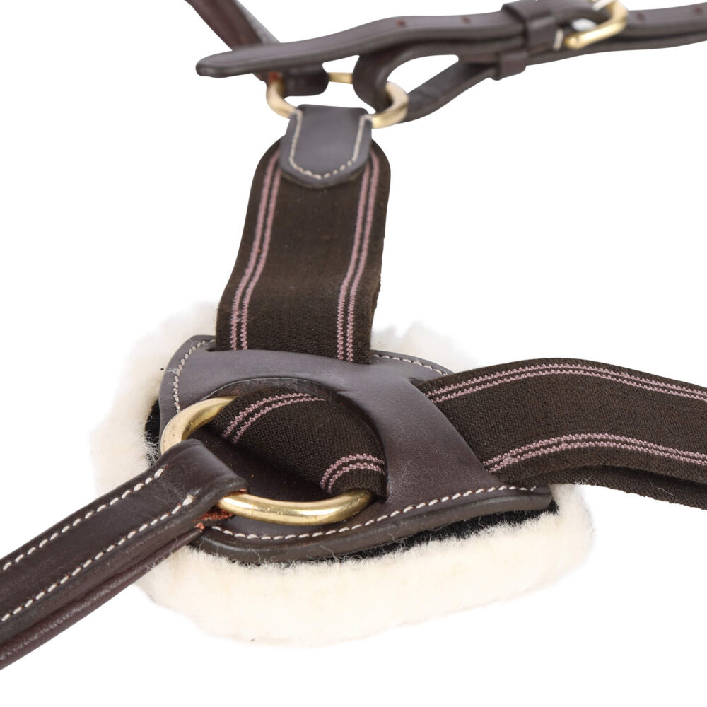 SHIRES Salisbury Επιστήθιο/Μartingale 5 Σημείων