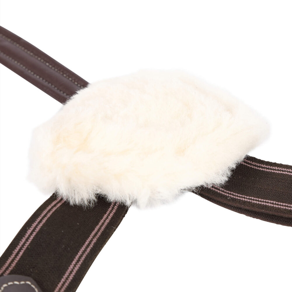 SHIRES Salisbury Επιστήθιο/Μartingale 5 Σημείων