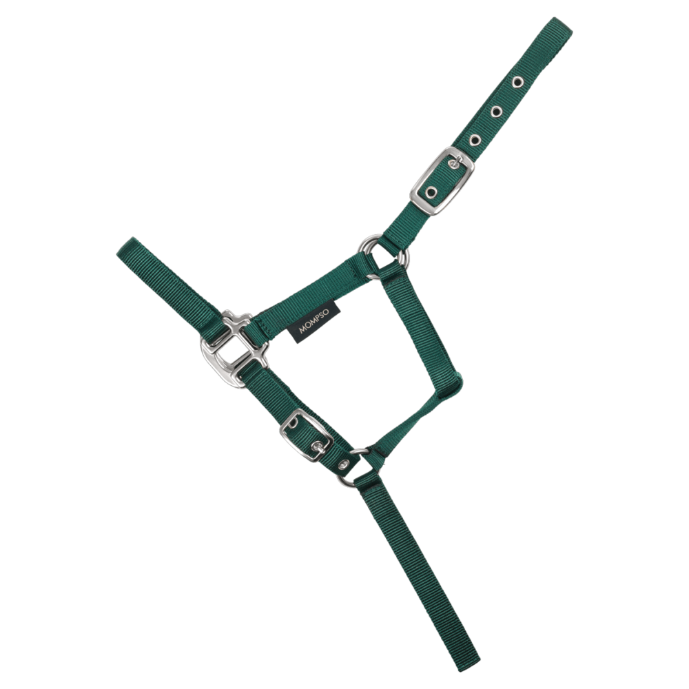 MOMPSO SPORT Καπίστρι Πουλαριού