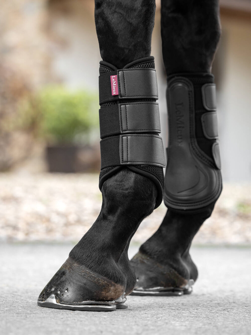 LEMIEUX Mesh Brushing Boots