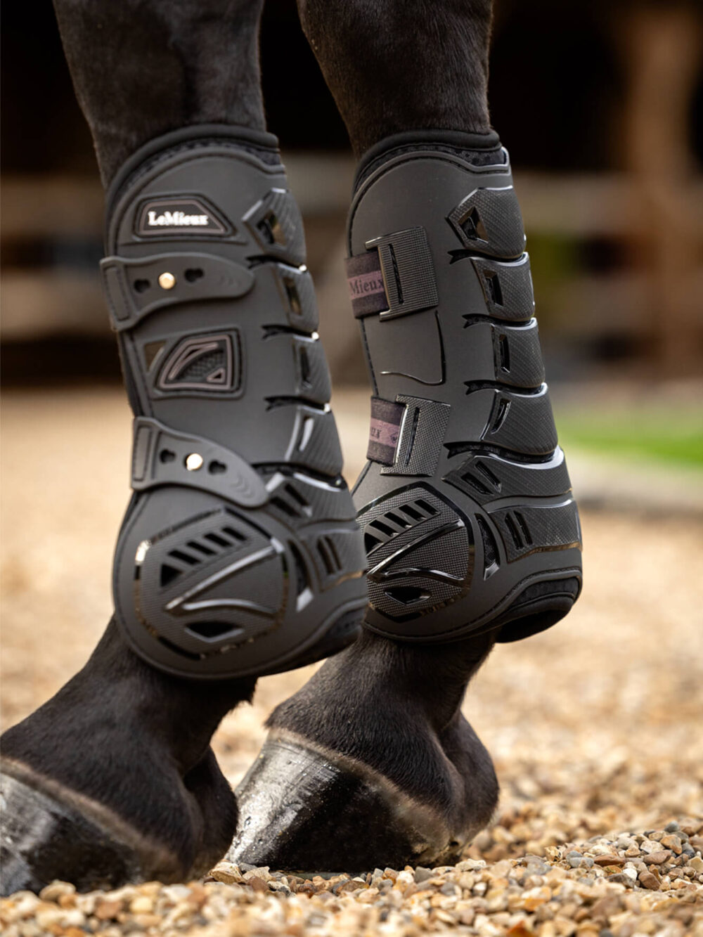 LEMIEUX Motion Cool Tendon Boots