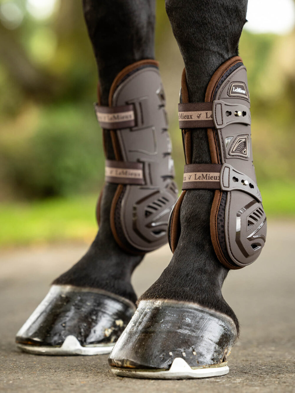 LEMIEUX Motion Cool Tendon Boots